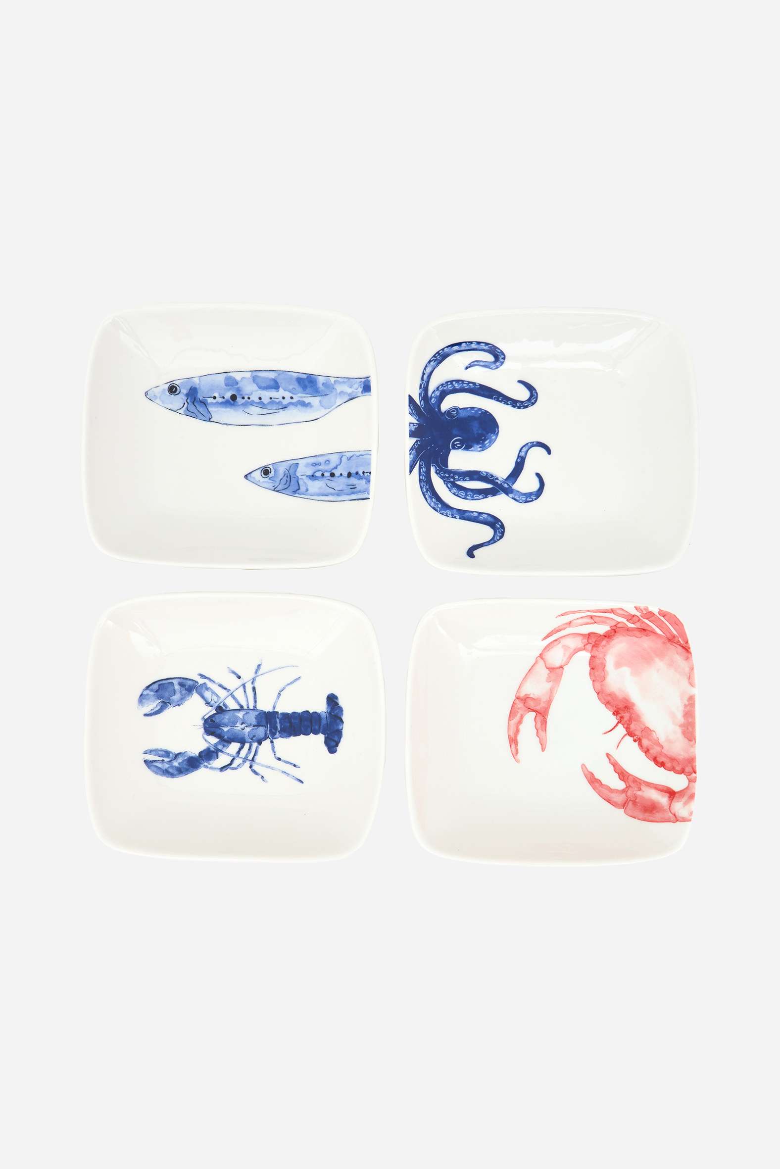 D8569 - Marine Life Plates, Ceramic, White/Blue/Red, Set/4
